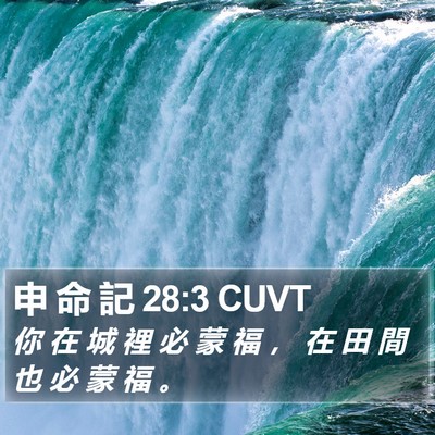 申 命 記 28:3 CUVT Bible Verse Image