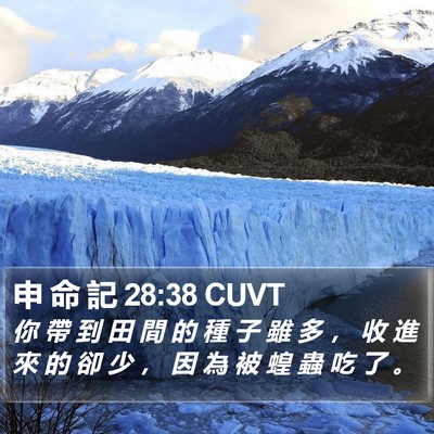 申 命 記 28:38 CUVT Bible Verse Image