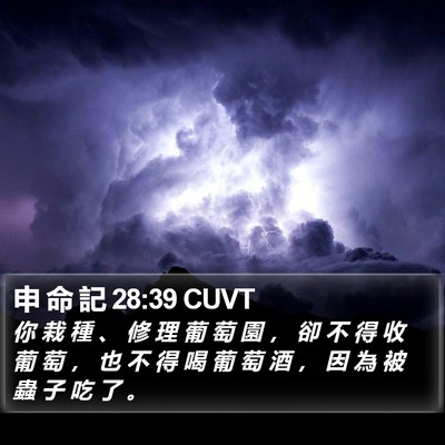 申 命 記 28:39 CUVT Bible Verse Image