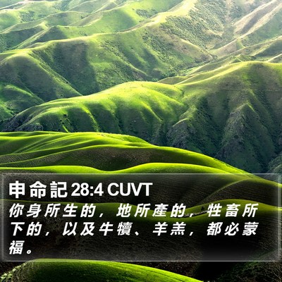申 命 記 28:4 CUVT Bible Verse Image