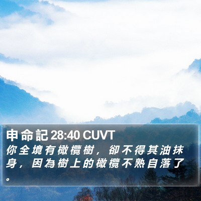 申 命 記 28:40 CUVT Bible Verse Image