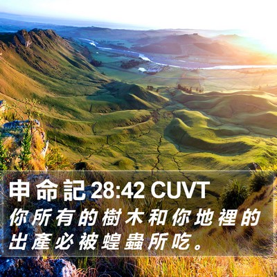 申 命 記 28:42 CUVT Bible Verse Image