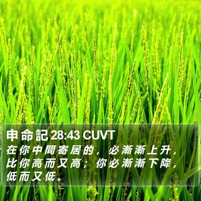 申 命 記 28:43 CUVT Bible Verse Image