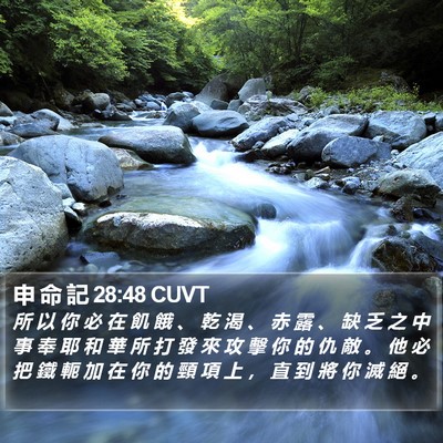申 命 記 28:48 CUVT Bible Verse Image