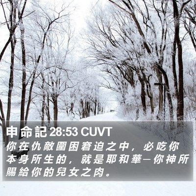 申 命 記 28:53 CUVT Bible Verse Image