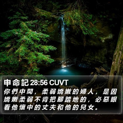 申 命 記 28:56 CUVT Bible Verse Image