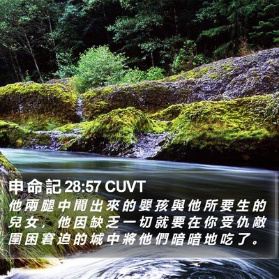 申 命 記 28:57 CUVT Bible Verse Image