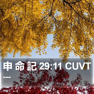 申 命 記 29:11 CUVT Bible Verse Image
