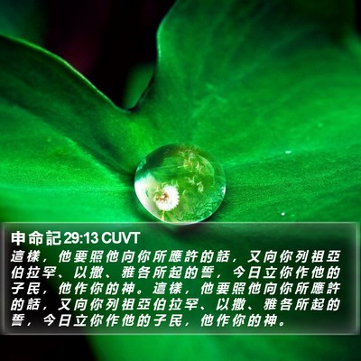 申 命 記 29:13 CUVT Bible Verse Image