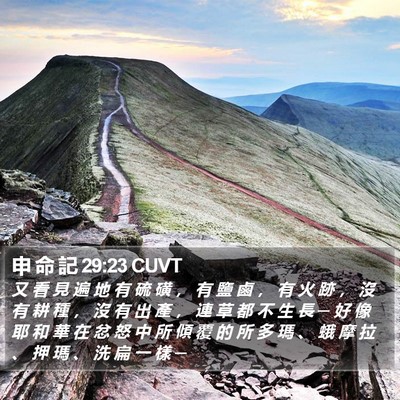 申 命 記 29:23 CUVT Bible Verse Image