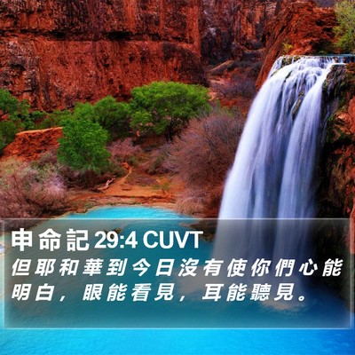 申 命 記 29:4 CUVT Bible Verse Image