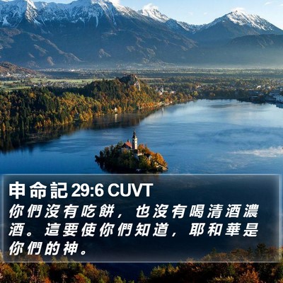 申 命 記 29:6 CUVT Bible Verse Image