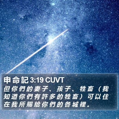 申 命 記 3:19 CUVT Bible Verse Image