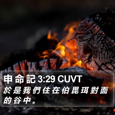 申 命 記 3:29 CUVT Bible Verse Image
