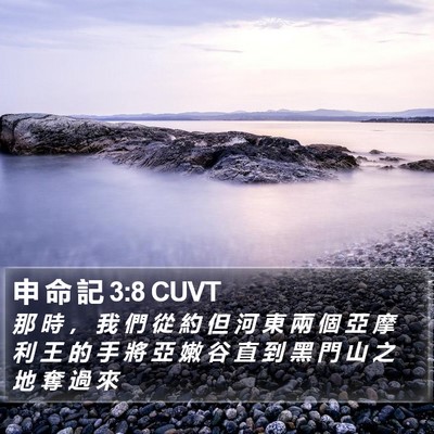 申 命 記 3:8 CUVT Bible Verse Image