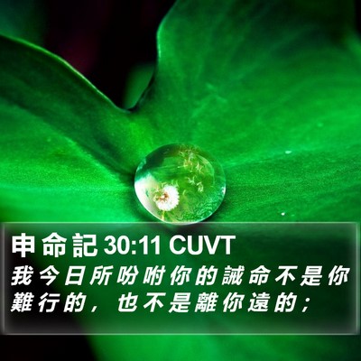 申 命 記 30:11 CUVT Bible Verse Image