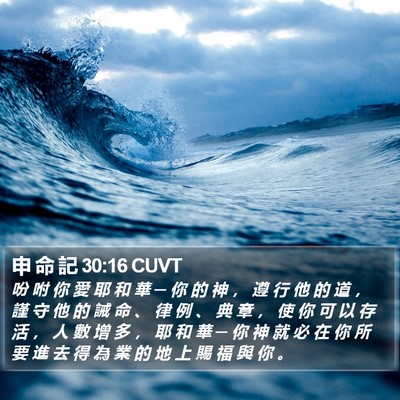 申 命 記 30:16 CUVT Bible Verse Image