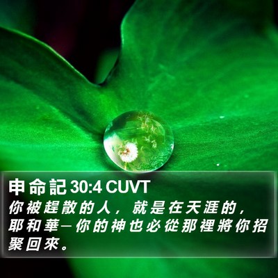 申 命 記 30:4 CUVT Bible Verse Image