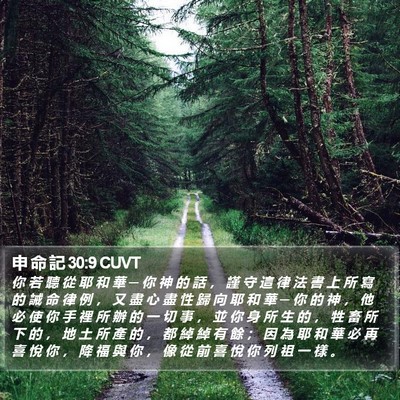 申 命 記 30:9 CUVT Bible Verse Image