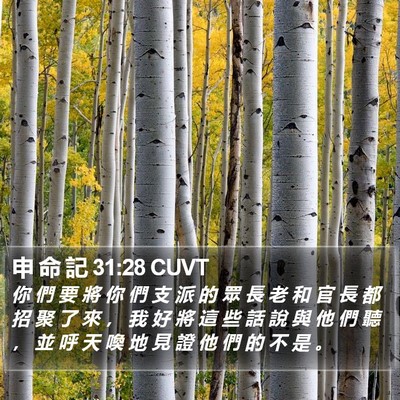 申 命 記 31:28 CUVT Bible Verse Image