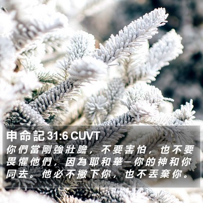 申 命 記 31:6 CUVT Bible Verse Image