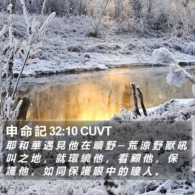 申 命 記 32:10 CUVT Bible Verse Image