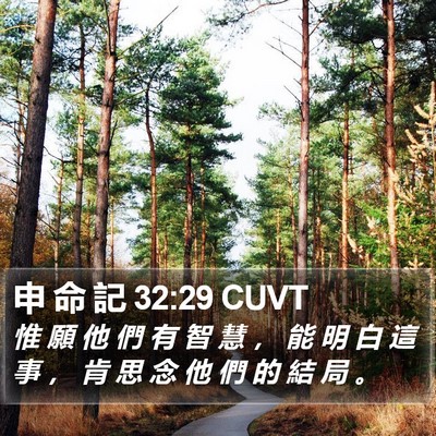 申 命 記 32:29 CUVT Bible Verse Image