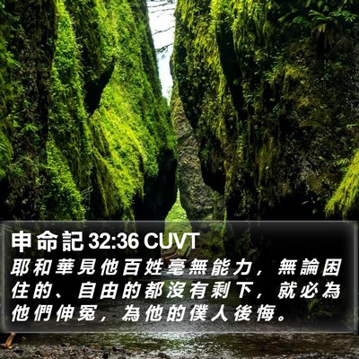 申 命 記 32:36 CUVT Bible Verse Image