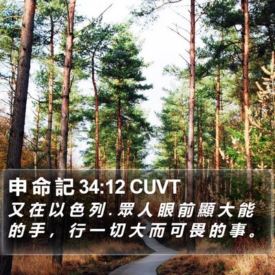 申 命 記 34:12 CUVT Bible Verse Image