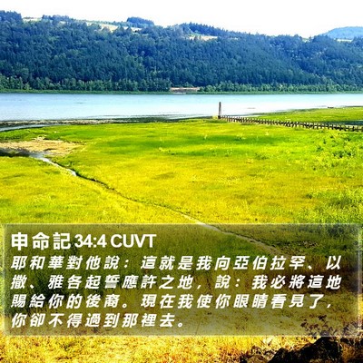 申 命 記 34:4 CUVT Bible Verse Image