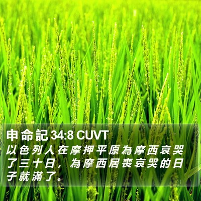 申 命 記 34:8 CUVT Bible Verse Image