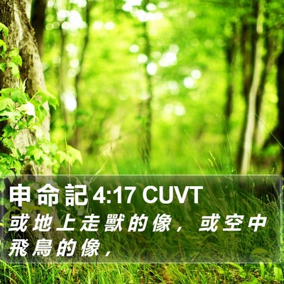 申 命 記 4:17 CUVT Bible Verse Image