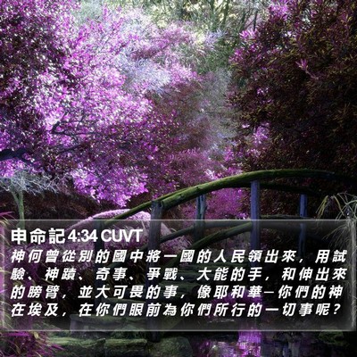 申 命 記 4:34 CUVT Bible Verse Image