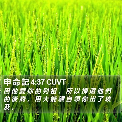申 命 記 4:37 CUVT Bible Verse Image