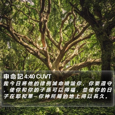 申 命 記 4:40 CUVT Bible Verse Image