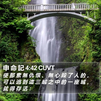 申 命 記 4:42 CUVT Bible Verse Image
