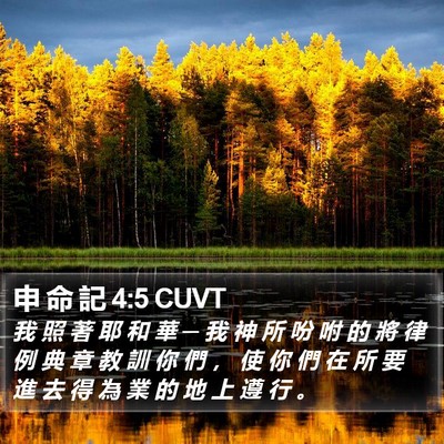 申 命 記 4:5 CUVT Bible Verse Image