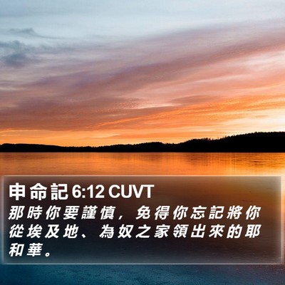 申 命 記 6:12 CUVT Bible Verse Image