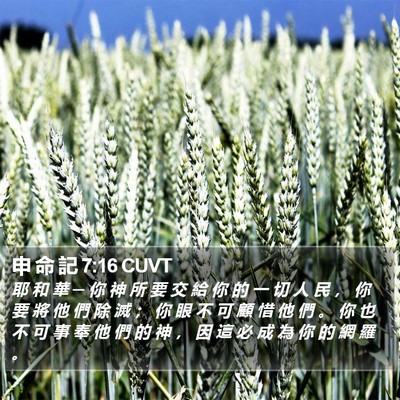 申 命 記 7:16 CUVT Bible Verse Image