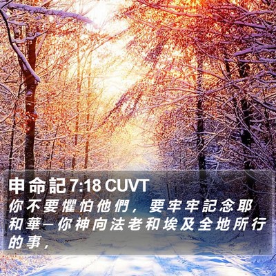 申 命 記 7:18 CUVT Bible Verse Image