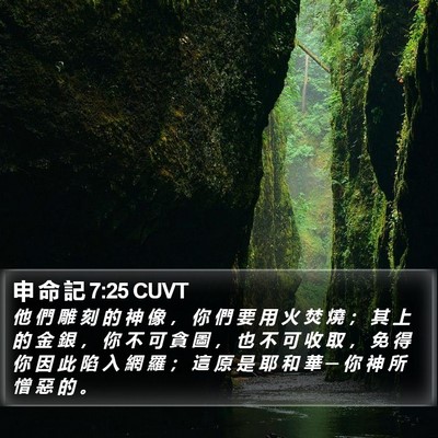 申 命 記 7:25 CUVT Bible Verse Image