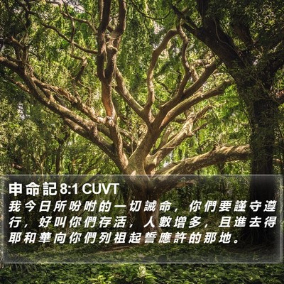 申 命 記 8:1 CUVT Bible Verse Image