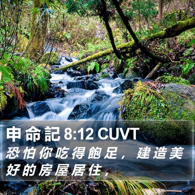 申 命 記 8:12 CUVT Bible Verse Image
