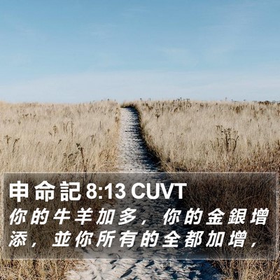 申 命 記 8:13 CUVT Bible Verse Image
