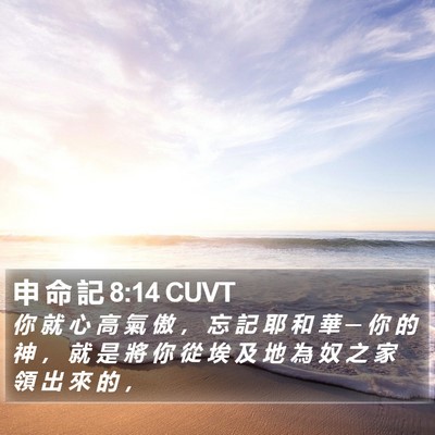 申 命 記 8:14 CUVT Bible Verse Image