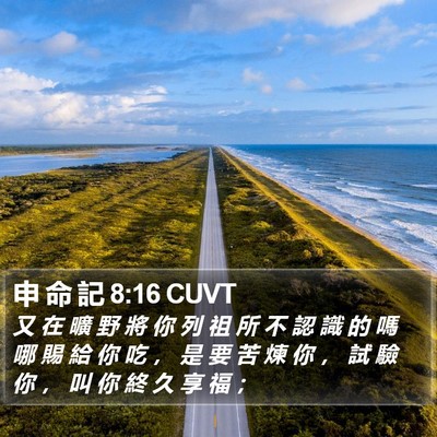 申 命 記 8:16 CUVT Bible Verse Image