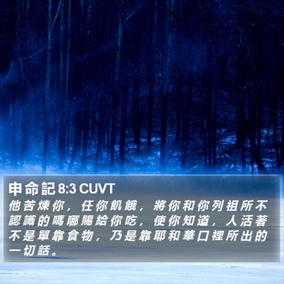 申 命 記 8:3 CUVT Bible Verse Image