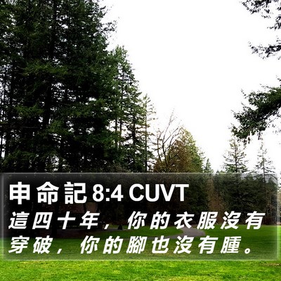 申 命 記 8:4 CUVT Bible Verse Image