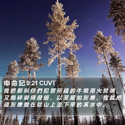 申 命 記 9:21 CUVT Bible Verse Image