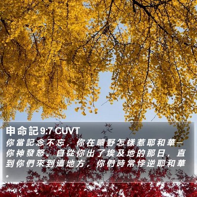 申 命 記 9:7 CUVT Bible Verse Image